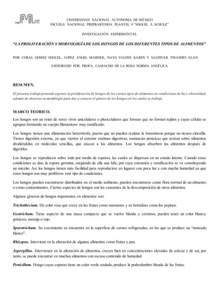 UNIVERSIDAD NACIONAL AUTONOMA DE MÉXICO
ESCUELA NACIONAL PREPRARTORIA PLANTEL 8 “MIGUEL E. SCHULZ”
INVESTIGACIÓN EXPERIMENTAL
“LA PROLIFERACIÓN Y MORFOLOGÍADE LOS HONGOS DE LOS DIFERENTES TIPOS DE ALIMENTOS”
POR: CORAL GOMEZ MIGUEL, LOPEZ ANGEL MARISOL, NAVA VALDES KAREN Y SALDIVAR TINAJERO ALAN
ASESORADO POR: PROFA. CAMACHO DE LA ROSA NORMA ANGÉLICA
RESUMEN.
El presente trabajo pretende exponer la proliferación de hongos de los ciertos tipos de alimentos en condiciones de luz y obscuridad,
además de observar su morfología para dar a conocer el género de los hongos en los cuales se trabajo.
MARCO TEORICO.
Los hongos son un reino de seres vivos unicelulares o pluricelulares que forman que no forman tejidos y cuyas células se
agrupan formando un cuerpo filamentoso muy ramificado.
Los hongos tienen una alimentación heterótrofa, puesto que no pueden realizar la fotosíntesis porque no tienen clorofila.
Tienen digestión externa, ya que vierten al exterior enzimas digestivas, sustancias proteicas que actúan sobre alimentos
dividiéndolos en moléculas sencillas, que atacan a los alimentos. Los hongos absorben los alimentos después de
digerirlos.
Los hongos se reproducen sobre todo por medio de esporas, las cuales se dispersan en un estado latente. Cuando estas
condiciones se dan, la espora germina, surgiendo de ella una hifa, por cuya extensión y ramificación se va constituyendo
un micelio. Así los hongos tienen más facilidad para reproducirse en lugares con poca luz y con mucha humedad ya que
estos hongos son muy prolíferos este tipo de condiciones.
Los hongos pueden encontrarse distribuidos en el medio ambiente, pueden encontrarse como flora normal de un alimento,
o como contaminantes. Ciertas especies de hongos son los causantes de la descomposición de otros alimentos.
Algunos géneros de hongos importantes en alimentos son:
Trichothecium. De color rosa que crece en las frutas como manzanas y en hortalizas como los pepinos.
Geotrichum. Tiene aspecto de una masa compacta que se vuelve blanda y cremosa, pueden tener un color blanco,
grisáceo, naranja o rojo.
Sporotrichum. Su crecimiento se encuentra en la superficie de carnes refrigeradas, en las que se produce un “moteado
blanco”.
Rhizopus. Interviene en la alteración de algunos alimentos como frutas y pan.
Aspergillus. Intervienen en la alteración de alimentos, crecen bien en concentraciones elevadas de azúcar y de sal, por
tanto, se puede encontrar en muchos alimentos con escaso contenido de humedad.
Penicillum. Hongo cuyas esporas tiene un color verde azulado, produce la podredumbre blanda de las frutas.
 