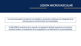 LESION MICROVASCULAR
La microvasculatura consiste en el endotelio y el pericito contribuye a la integridad de la
barrera para la normal función de homeostasis.
FUNCIONES controla el tono vascular, la regulación del flujo sanguíneo a los lechos
tisulares locales, la modulación de la coagulación y la inflamación y la permeabilidad
 