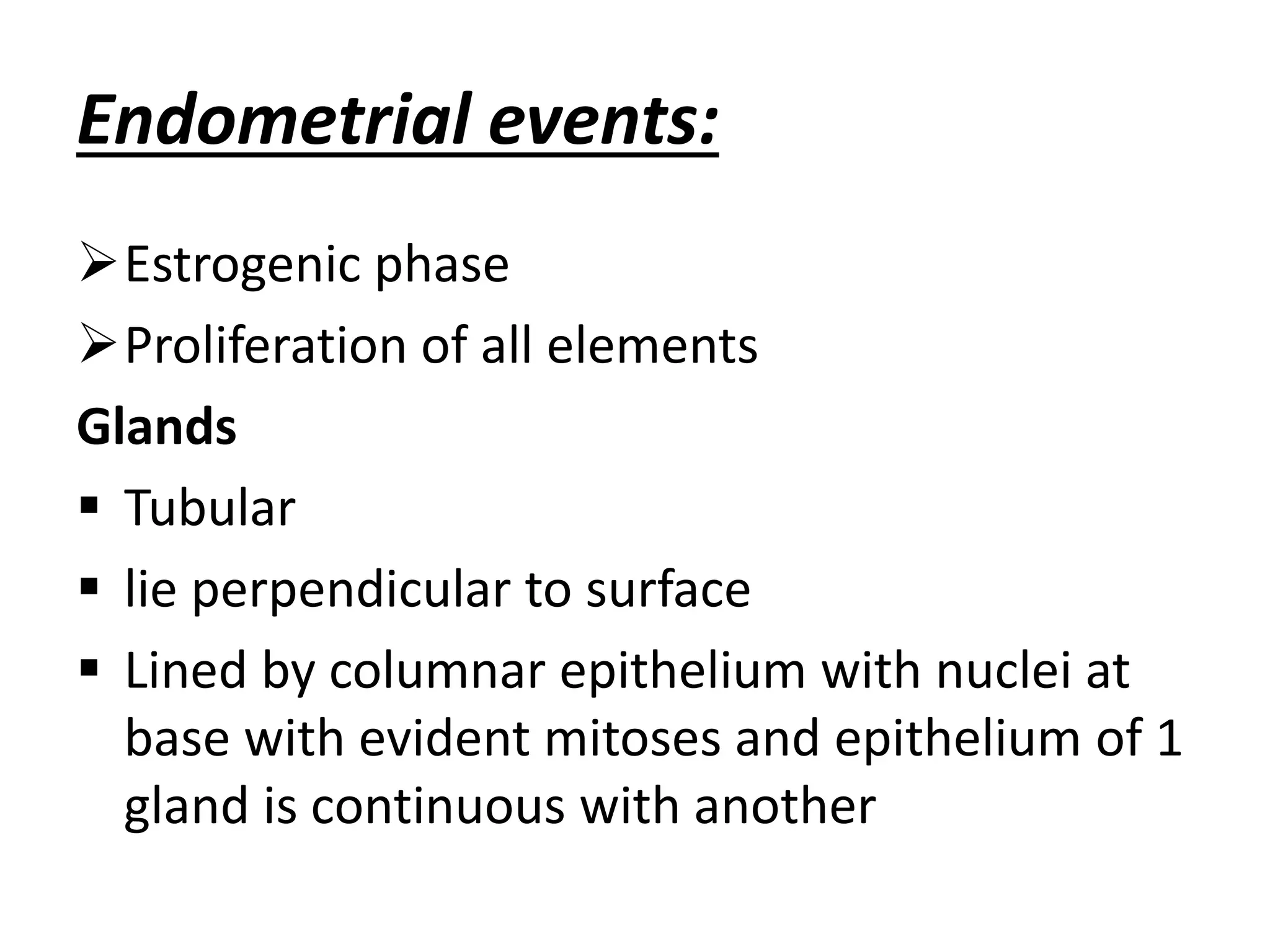 Endometrial events: 
Estrogenic phase 
Proliferation of all elements 
Glands 
 Tubular 
 lie perpendicular to surface 
 Lined by columnar epithelium with nuclei at 
base with evident mitoses and epithelium of 1 
gland is continuous with another 
 