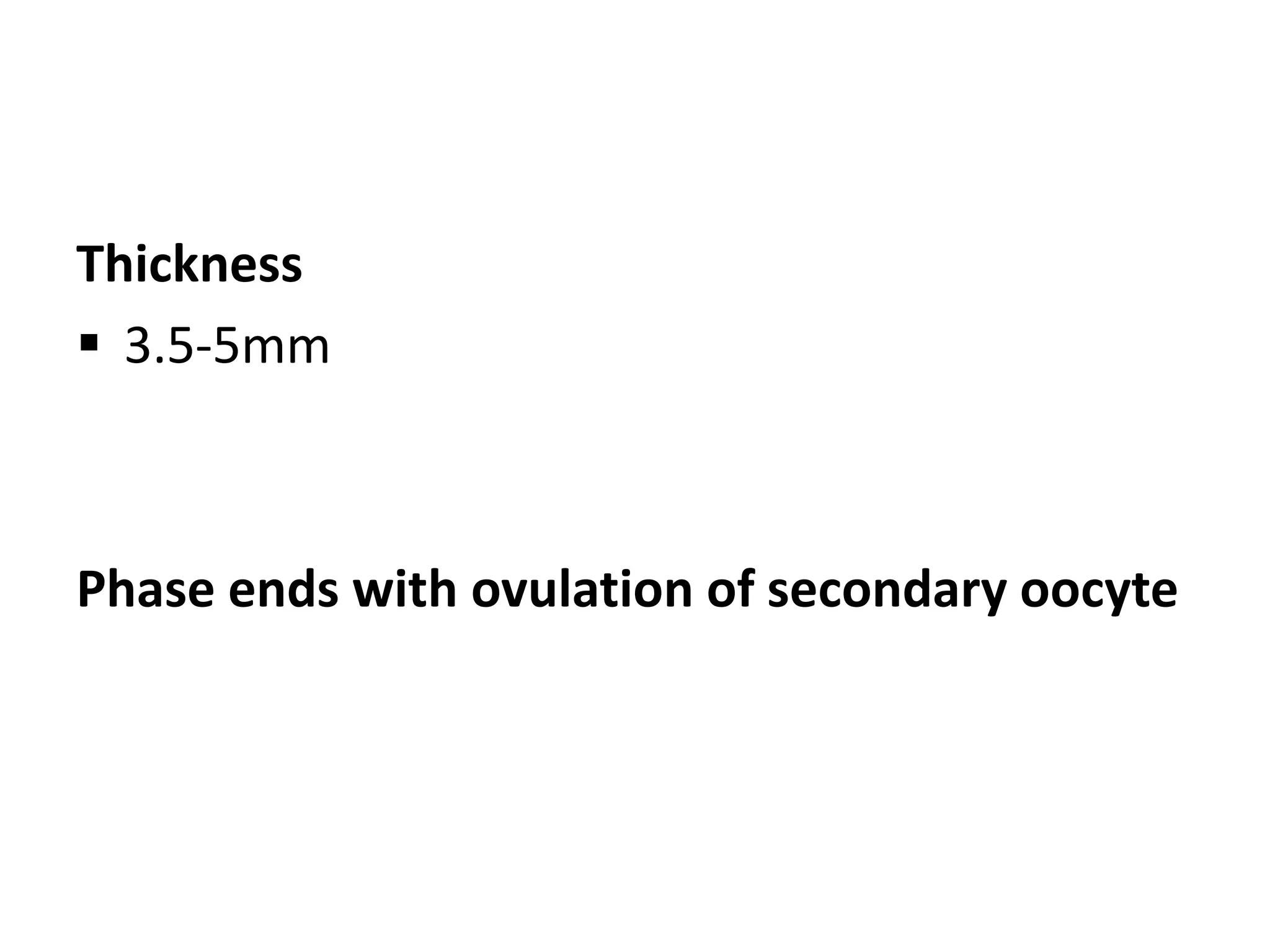 Thickness 
 3.5-5mm 
Phase ends with ovulation of secondary oocyte 
