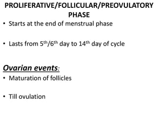 PROLIFERATIVE/FOLLICULAR/PREOVULATORY 
PHASE 
• Starts at the end of menstrual phase 
• Lasts from 5th/6th day to 14th day of cycle 
Ovarian events: 
• Maturation of follicles 
• Till ovulation 
 