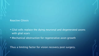 Reactive Gliosis
• Glial cells replace the dying neuronal and degenerated axons
with glial scars
• Mechanical obstruction for regenerative axon growth
Thus a limiting factor for vision recovery post surgery.
 
