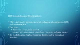 ECM Remodelling and Myofibroblasts:
• ECM – A dynamic, complex array of collagens, glycoproteins, GAGs
and proteoglycans
• Functions:
• Mechanical and structural support
• Interacts with cytokines and cytoskeleton – transmits biological signals.
• Re-modelling is a healing response detrimental to the retinal
function.
 