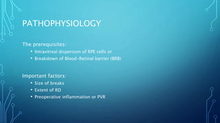 PATHOPHYSIOLOGY
The prerequisites:
• Intravitreal dispersion of RPE cells or
• Breakdown of Blood-Retinal barrier (BRB)
Important factors:
• Size of breaks
• Extent of RD
• Preoperative inflammation or PVR
 