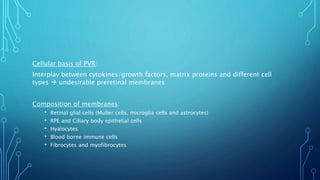 Cellular basis of PVR:
Interplay between cytokines/growth factors, matrix proteins and different cell
types  undesirable preretinal membranes
Composition of membranes:
• Retinal glial cells (Muller cells, microglia cells and astrocytes)
• RPE and Ciliary body epithelial cells
• Hyalocytes
• Blood borne immune cells
• Fibrocytes and myofibrocytes
 
