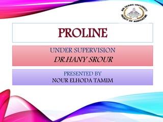 PROLINE
PRESENTED BY
NOUR ELHODA TAMIM
UNDER SUPERVISION
DR.HANY SROUR
 
