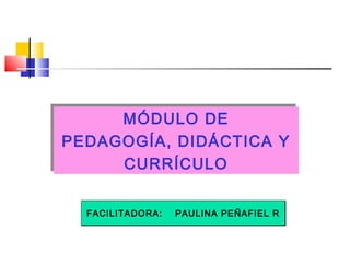 .
MÓDULO DE
PEDAGOGÍA, DIDÁCTICA Y
CURRÍCULO
MÓDULO DE
PEDAGOGÍA, DIDÁCTICA Y
CURRÍCULO
FACILITADORA: PAULINA PEÑAFIEL RFACILITADORA: PAULINA PEÑAFIEL R
 