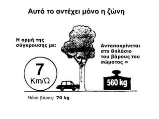 Αυτό το αντέχει μόνο η ζώνη-1
ζώνη

 