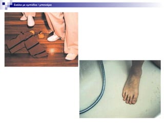 Σκάλα με εμπόδια / μπανιέρα

 