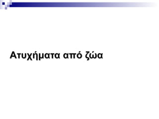Ατυχήματα από ζώα

 
