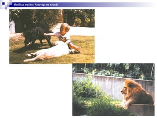 Παιδί με σκύλο / Λιοντάρι σε κλουβί

 