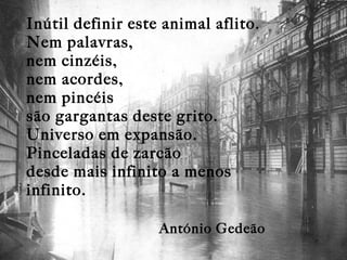 Inútil definir este animal aflito. Nem palavras, nem cinzéis, nem acordes, nem pincéis são gargantas deste grito. Universo em expansão. Pinceladas de zarcão desde mais infinito a menos infinito. António Gedeão   