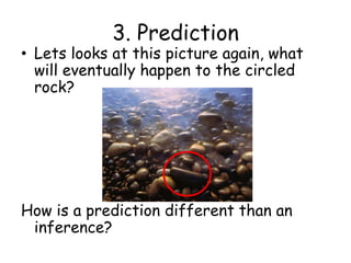 3. PredictionLets looks at this picture again, what will eventually happen to the circled rock? How is a prediction different than an inference?
