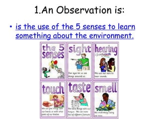 1.An Observation is:is the use of the 5 senses to learn something about the environment.