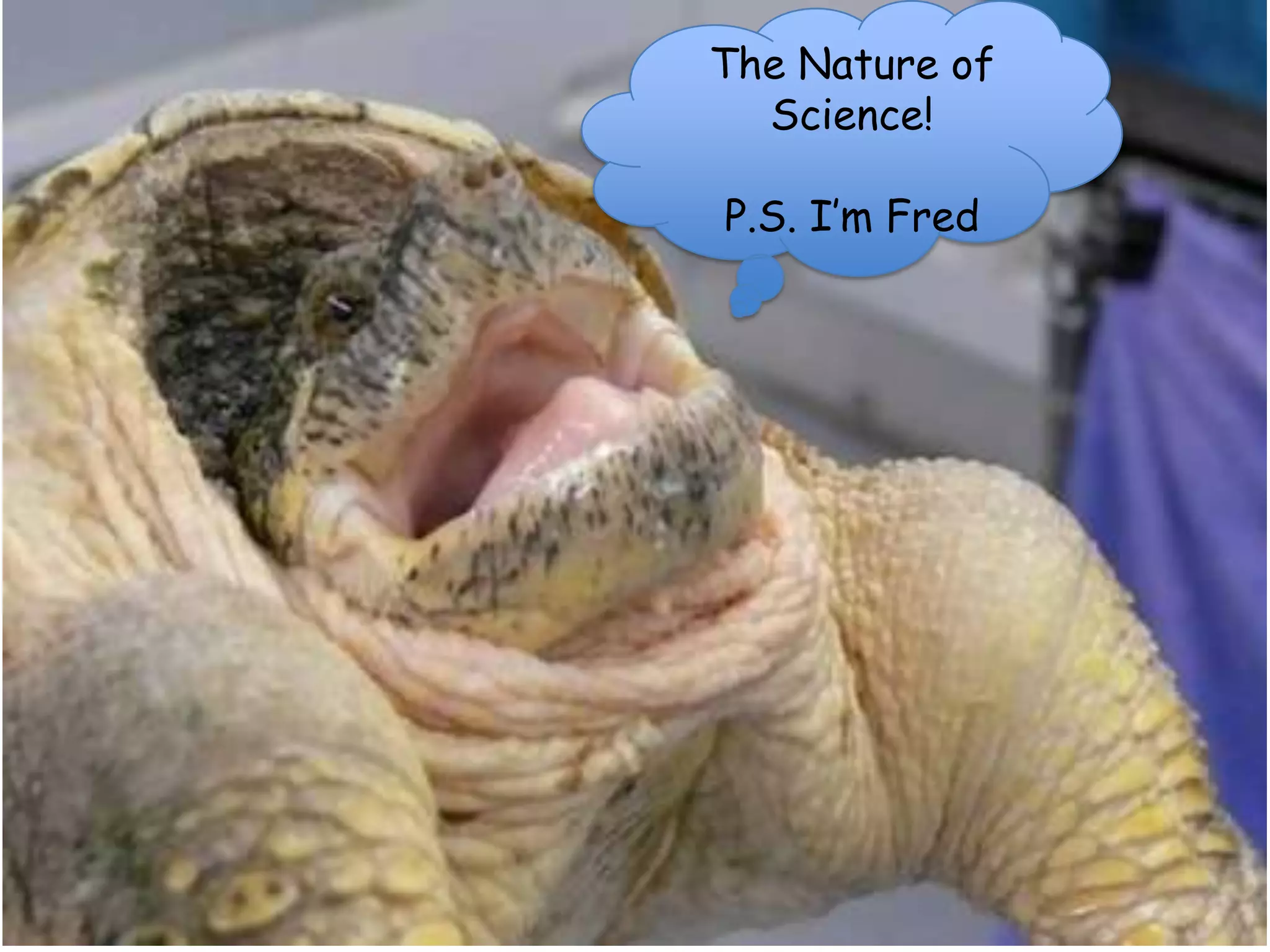 The Nature of Science!P.S. I’m Fred