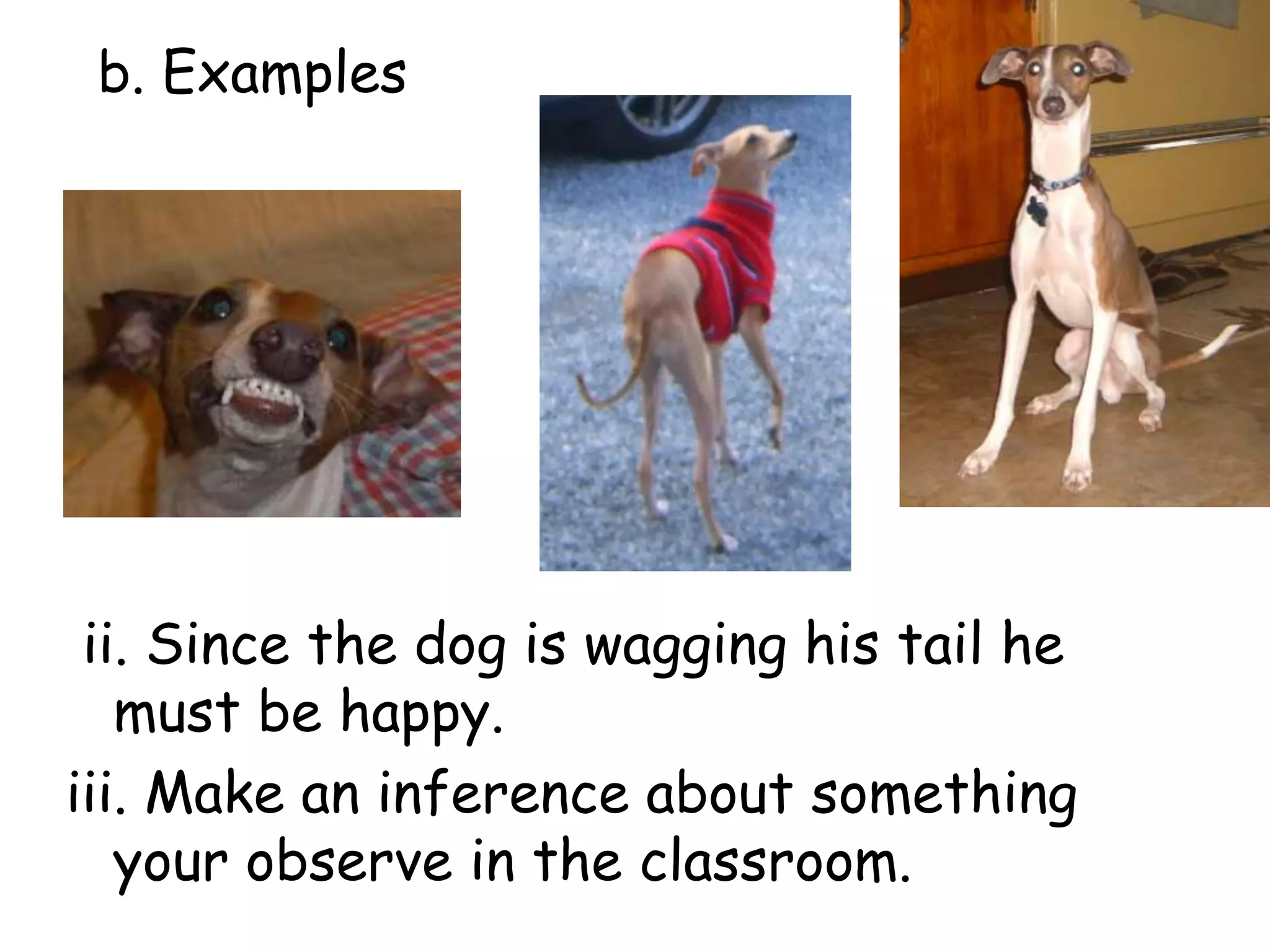 b. Examples ii. Since the dog is wagging his tail he must be happy.iii. Make an inference about something your observe in the classroom. 