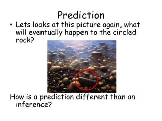 PredictionLets looks at this picture again, what will eventually happen to the circled rock? How is a prediction different than an inference?