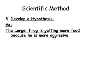 Scientific Method:2. Gather information.observations, research, brainstormingExamples:1. Are they the same species? Yes, small aquatic frogs!2. How do they behave when we feed them? Lets observe… 3. Are their any signs of aggression? 