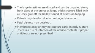  The large intestines are dilated and can be palpated along
both sides of the uterus as large, thick structure filled with
air .they give off the hollow sound of drums on tapping.
 Ketosis may develop due to prolonged starvation .
 Fetal distress may develop .
 Membranes may or may not rupture early .In early rupture
,there is a risk of infection of the uterine contents if proper
antibiotics are not prescribed .
 