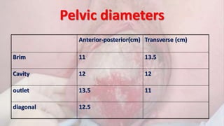 Pelvic diameters
Anterior-posterior(cm) Transverse (cm)
Brim 11 13.5
Cavity 12 12
outlet 13.5 11
diagonal 12.5
 
