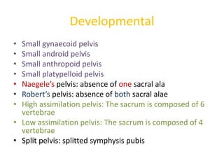 Developmental
• Small gynaecoid pelvis
• Small android pelvis
• Small anthropoid pelvis
• Small platypelloid pelvis
• Naegele’s pelvis: absence of one sacral ala
• Robert’s pelvis: absence of both sacral alae
• High assimilation pelvis: The sacrum is composed of 6
vertebrae
• Low assimilation pelvis: The sacrum is composed of 4
vertebrae
• Split pelvis: splitted symphysis pubis
 
