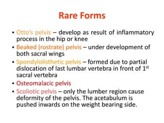 Rare Forms
• Otto’s pelvis – develop as result of inflammatory
process in the hip or knee
• Beaked (rostrate) pelvis – under development of
both sacral wings
• Spondylolisthetic pelvis – formed due to partial
dislocation of last lumbar vertebra in front of 1st
sacral vertebra
• Osteomalacic pelvis
• Scoliotic pelvis – only the lumber region cause
deformity of the pelvis. The acetabulum is
pushed inwards on the weight bearing side.
 