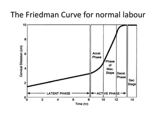 The Friedman Curve for normal labour
 
