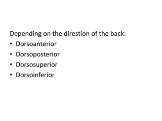 Depending on the direstion of the back:
• Dorsoanterior
• Dorsoposterior
• Dorsosuperior
• Dorsoinferior
 