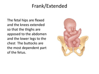 Frank/Extended
The fetal hips are flexed
and the knees extended
so that the thighs are
apposed to the abdomen
and the lower legs to the
chest The buttocks are
the most dependent part
of the fetus.
 