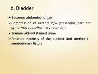 b. Bladder
Becomes abdominal organ
Compression of urethra b/w presenting part and
symphysis pubis→urinary retention
Trauma→blood stained urine
Pressure necrosis of the bladder and urethra→
genitourinary fistula
 