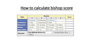 How to calculate bishop score
 