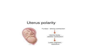 Prolonged pregnancy and abnormal uterine contractions (4) (1).pdf