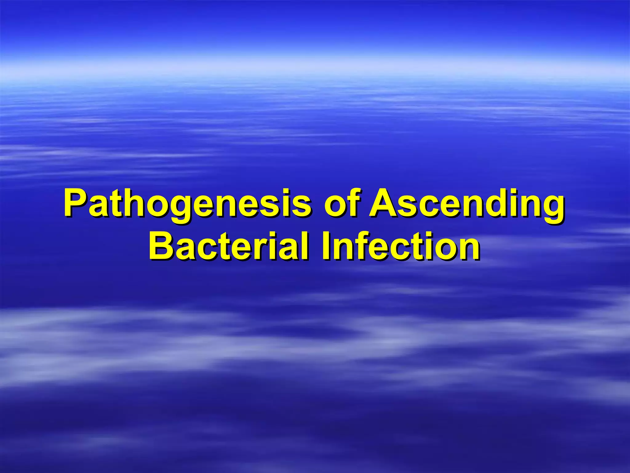 Pathogenesis of Ascending Bacterial Infection 