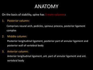 ANATOMY
On the basis of stability, spine has 3 main columns:
1. Posterior column:
Comprises neural arch, pedicles, spinous process, posterior ligament
complex
2. Middle column:
Posterior longitudinal ligament, posterior part of annular ligament and
posterior wall of vertebral body
3. Anterior column:
Anterior longitudinal ligament, ant. part of annular ligament and ant.
vertebral body
 