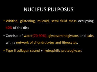 NUCLEUS PULPOSUS
• Whitish, glistening, mucoid, semi fluid mass occupying
40% of the disc
• Consists of water(70-90%), glycosaminoglycans and salts
with a network of chondrocytes and fibrocytes.
• Type II collagen strand + hydrophilic proteoglycan.
 