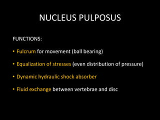 NUCLEUS PULPOSUS
FUNCTIONS:
• Fulcrum for movement (ball bearing)
• Equalization of stresses (even distribution of pressure)
• Dynamic hydraulic shock absorber
• Fluid exchange between vertebrae and disc
 