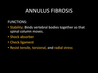ANNULUS FIBROSIS
FUNCTIONS:
• Stability: Binds vertebral bodies together so that
spinal column moves.
• Shock absorber
• Check ligament
• Resist tensile, torsional, and radial stress
 