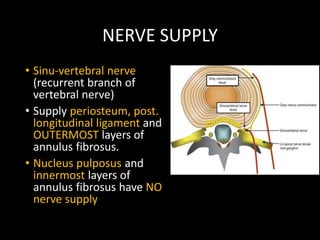 NERVE SUPPLY
• Sinu-vertebral nerve
(recurrent branch of
vertebral nerve)
• Supply periosteum, post.
longitudinal ligament and
OUTERMOST layers of
annulus fibrosus.
• Nucleus pulposus and
innermost layers of
annulus fibrosus have NO
nerve supply
 