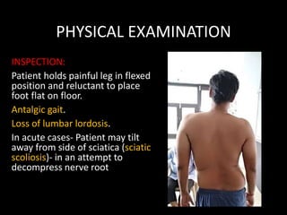 PHYSICAL EXAMINATION
INSPECTION:
Patient holds painful leg in flexed
position and reluctant to place
foot flat on floor.
Antalgic gait.
Loss of lumbar lordosis.
In acute cases- Patient may tilt
away from side of sciatica (sciatic
scoliosis)- in an attempt to
decompress nerve root
 