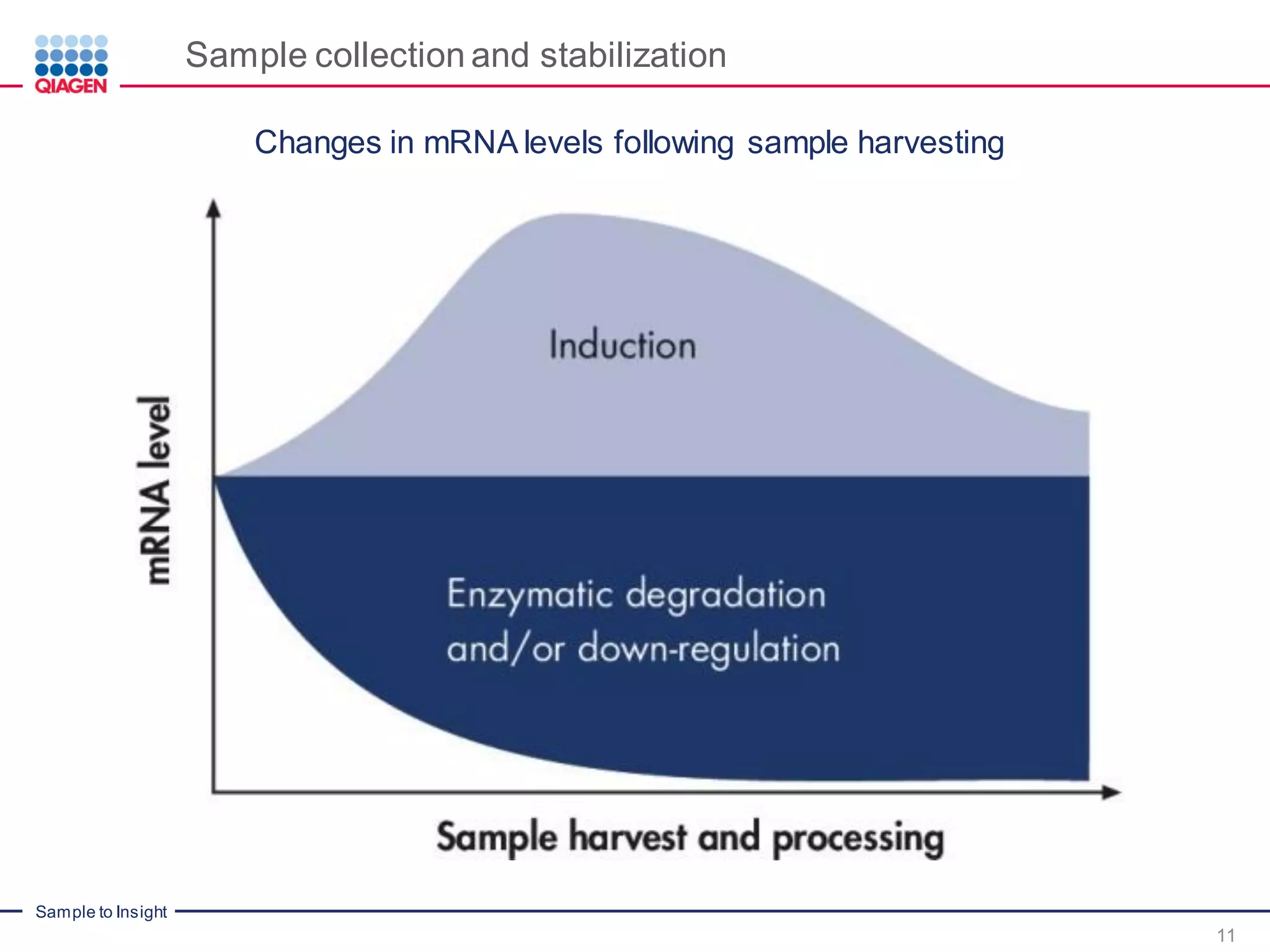 Sample to Insight
Sample collection and stabilization
11
Changes in mRNA levels following sample harvesting
 
