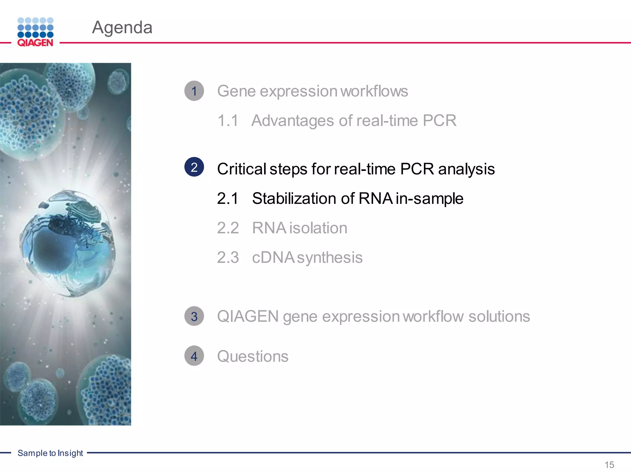 Sample to Insight
Agenda
15
Gene expressionworkflows
1.1 Advantages of real-time PCR
Critical steps for real-time PCR analysis
2.1 Stabilization of RNA in-sample
2.2 RNA isolation
2.3 cDNAsynthesis
QIAGEN gene expressionworkflow solutions
Questions
1
2
3
4
 