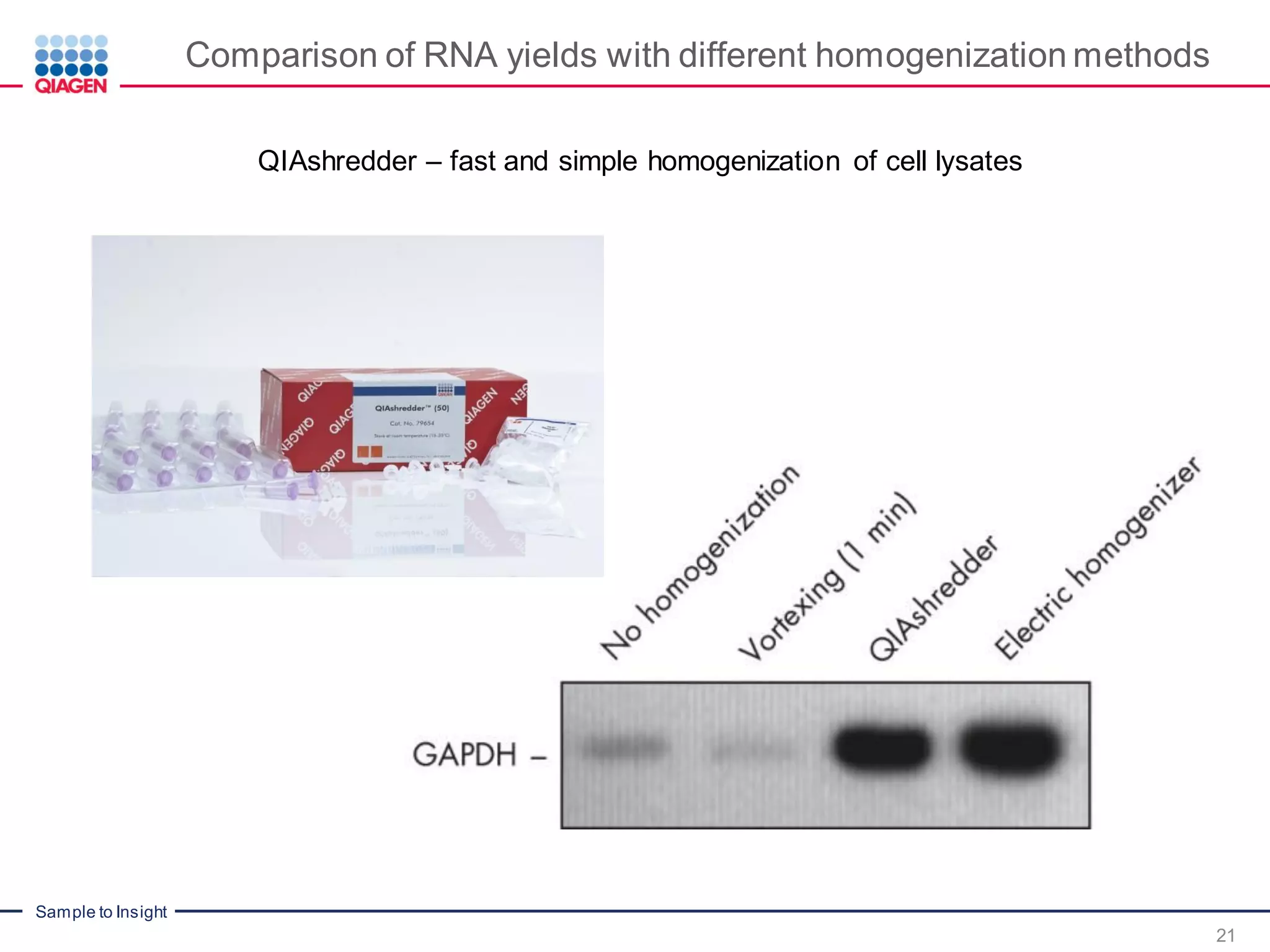 Sample to Insight
Comparison of RNA yields with different homogenization methods
21
QIAshredder – fast and simple homogenization of cell lysates
 