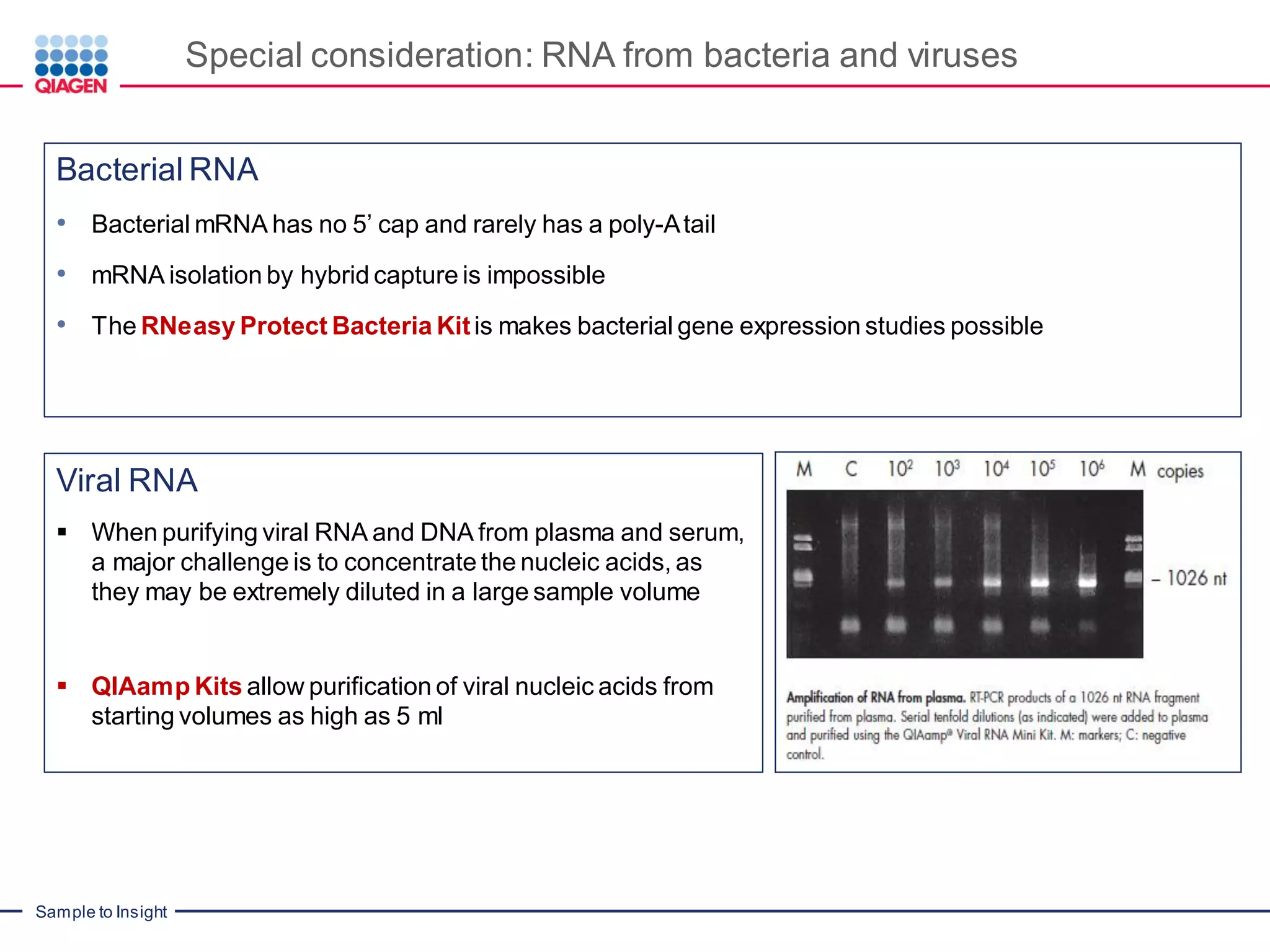 Sample to Insight
Special consideration: RNA from bacteria and viruses
Bacterial RNA
• Bacterial mRNA has no 5’ cap and rarely has a poly-Atail
• mRNA isolation by hybrid capture is impossible
• The RNeasy Protect Bacteria Kitis makes bacterial gene expression studies possible
Viral RNA
▪ When purifying viral RNA and DNA from plasma and serum,
a major challenge is to concentrate the nucleic acids, as
they may be extremely diluted in a large sample volume
▪ QIAamp Kits allow purification of viral nucleic acids from
starting volumes as high as 5 ml
 