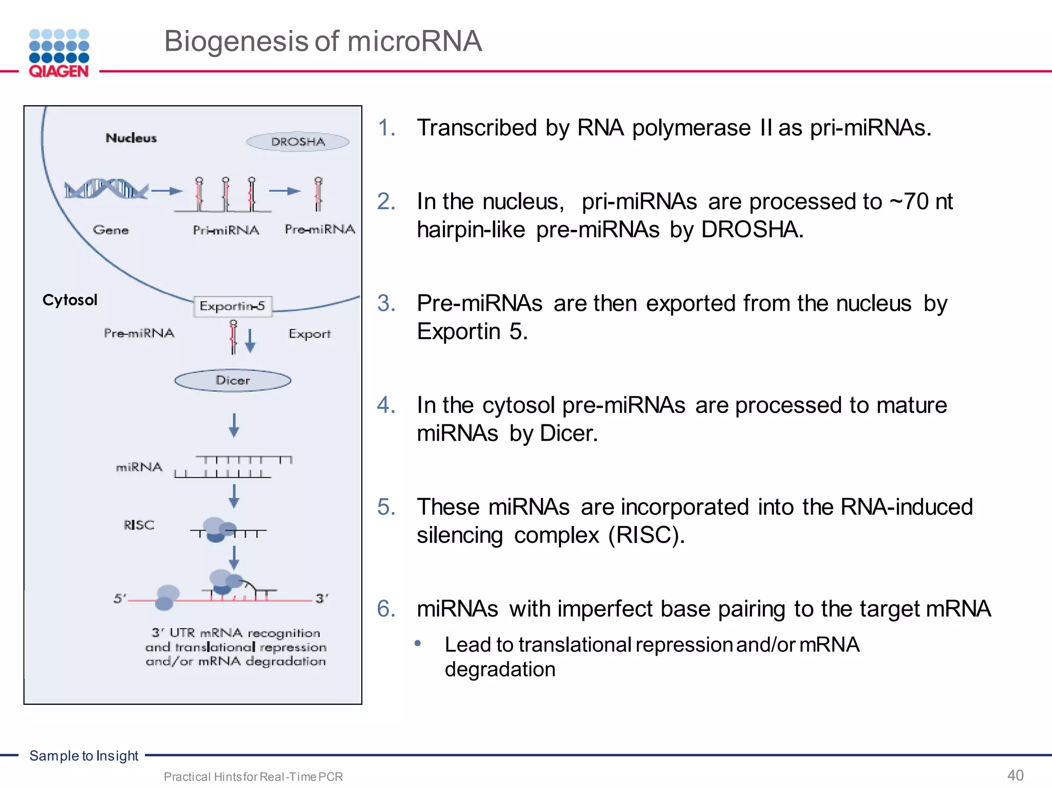 Sample to Insight
Biogenesis of microRNA
1. Transcribed by RNA polymerase II as pri-miRNAs.
2. In the nucleus, pri-miRNAs are processed to ~70 nt
hairpin-like pre-miRNAs by DROSHA.
3. Pre-miRNAs are then exported from the nucleus by
Exportin 5.
4. In the cytosol pre-miRNAs are processed to mature
miRNAs by Dicer.
5. These miRNAs are incorporated into the RNA-induced
silencing complex (RISC).
6. miRNAs with imperfect base pairing to the target mRNA
• Lead to translational repressionand/or mRNA
degradation
Cytosol
Practical Hintsfor Real-TimePCR 40
 