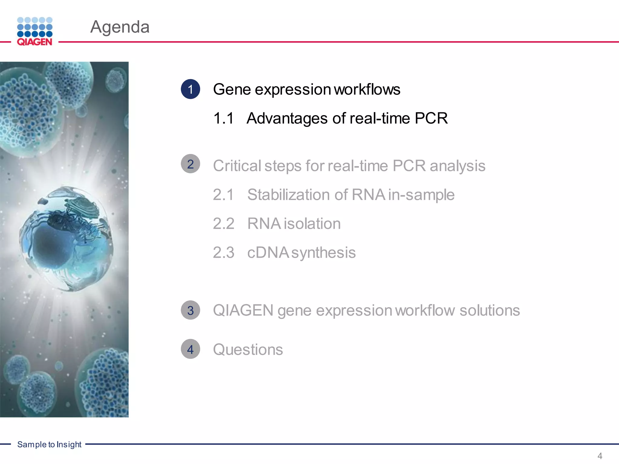 Sample to Insight
Agenda
4
Gene expressionworkflows
1.1 Advantages of real-time PCR
Critical steps for real-time PCR analysis
2.1 Stabilization of RNA in-sample
2.2 RNA isolation
2.3 cDNAsynthesis
QIAGEN gene expressionworkflow solutions
Questions
1
2
3
4
 
