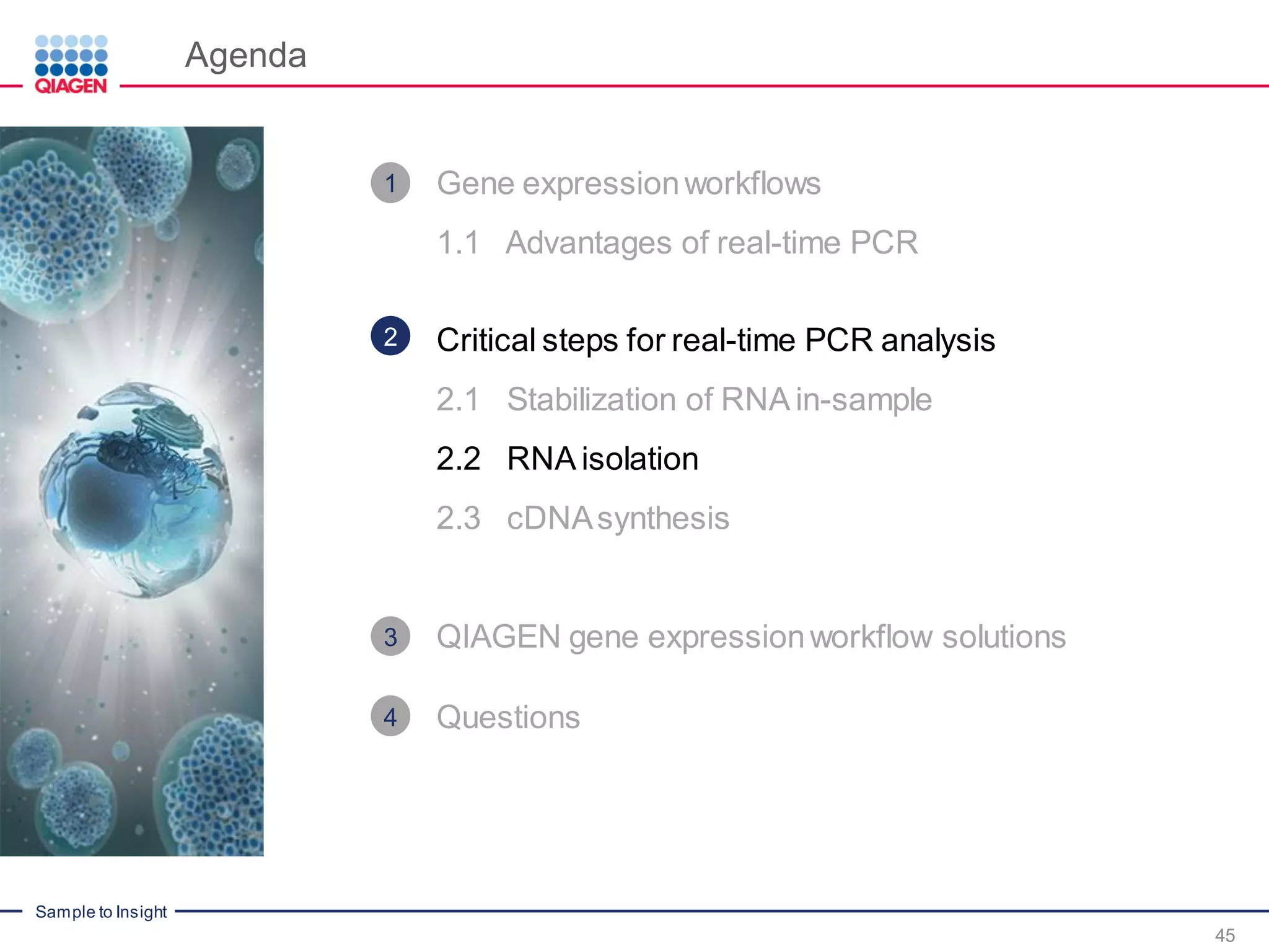 Sample to Insight
Agenda
45
Gene expressionworkflows
1.1 Advantages of real-time PCR
Critical steps for real-time PCR analysis
2.1 Stabilization of RNA in-sample
2.2 RNA isolation
2.3 cDNAsynthesis
QIAGEN gene expressionworkflow solutions
Questions
1
2
3
4
 