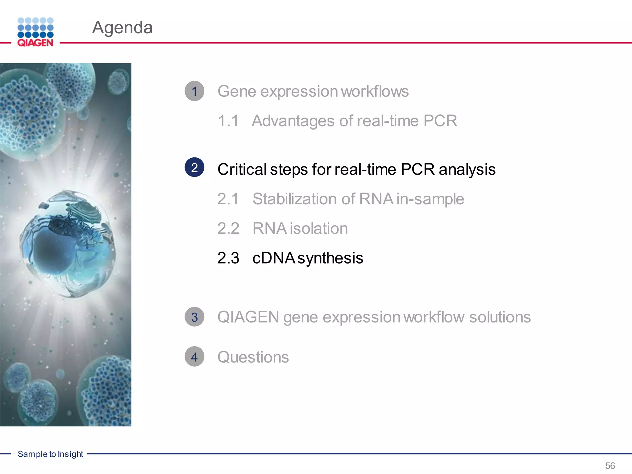 Sample to Insight
Agenda
56
Gene expressionworkflows
1.1 Advantages of real-time PCR
Critical steps for real-time PCR analysis
2.1 Stabilization of RNA in-sample
2.2 RNA isolation
2.3 cDNAsynthesis
QIAGEN gene expressionworkflow solutions
Questions
1
2
3
4
 