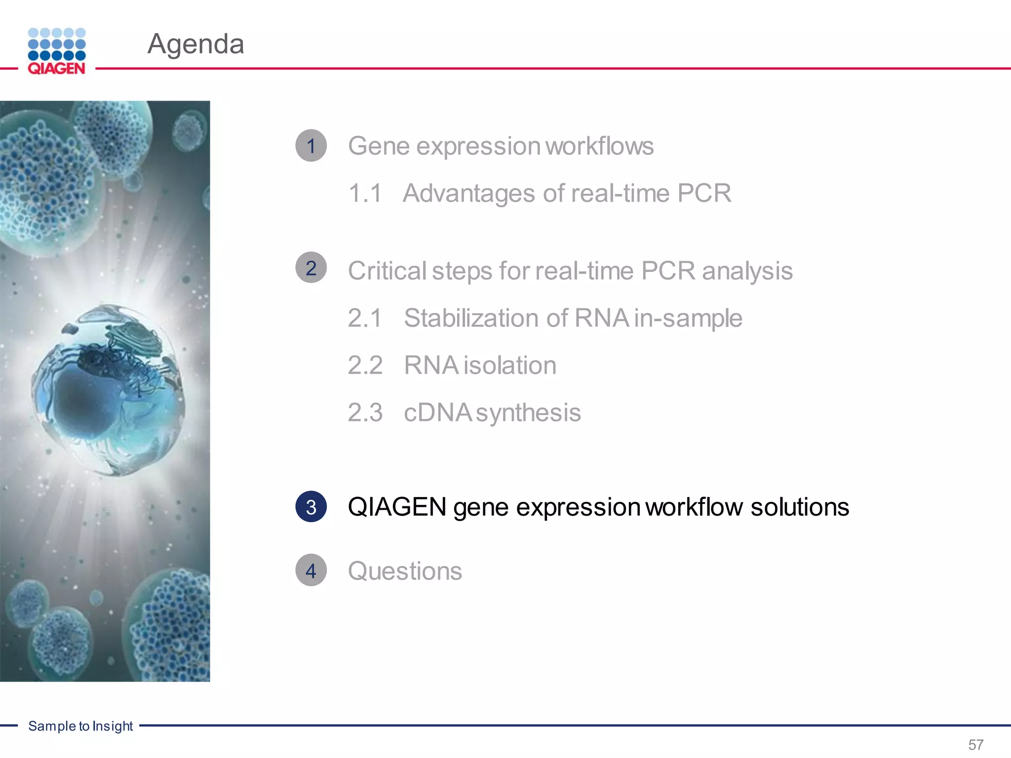 Sample to Insight
Agenda
57
Gene expressionworkflows
1.1 Advantages of real-time PCR
Critical steps for real-time PCR analysis
2.1 Stabilization of RNA in-sample
2.2 RNA isolation
2.3 cDNAsynthesis
QIAGEN gene expressionworkflow solutions
Questions
1
2
3
4
 