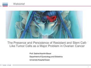 Sample to Insight
The Presence and Persistence of Resistant and Stem Cell-
Like Tumor Cells as a Major Problem in Ovarian Cancer
Prof. Sabine Kasimir-Bauer
Department of Gynecology and Obstetrics
University Hospital Essen
1
Welcome!
 