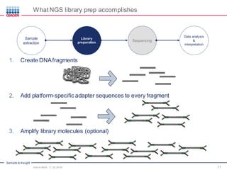 Sample to Insight
11
1. Create DNA fragments
2. Add platform-specific adapter sequences to every fragment
3. Amplify library molecules (optional)
Library
preparation
Data analysis
&
interpretation
Sequencing
Sample
extraction
What NGS library prep accomplishes
Intro to NGS, 11.30.2016
 
